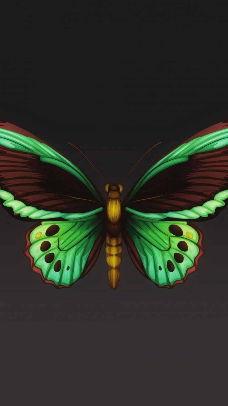 Lila Und Schwarze Schmetterlingsflügel. Wallpaper in 750x1334 Resolution