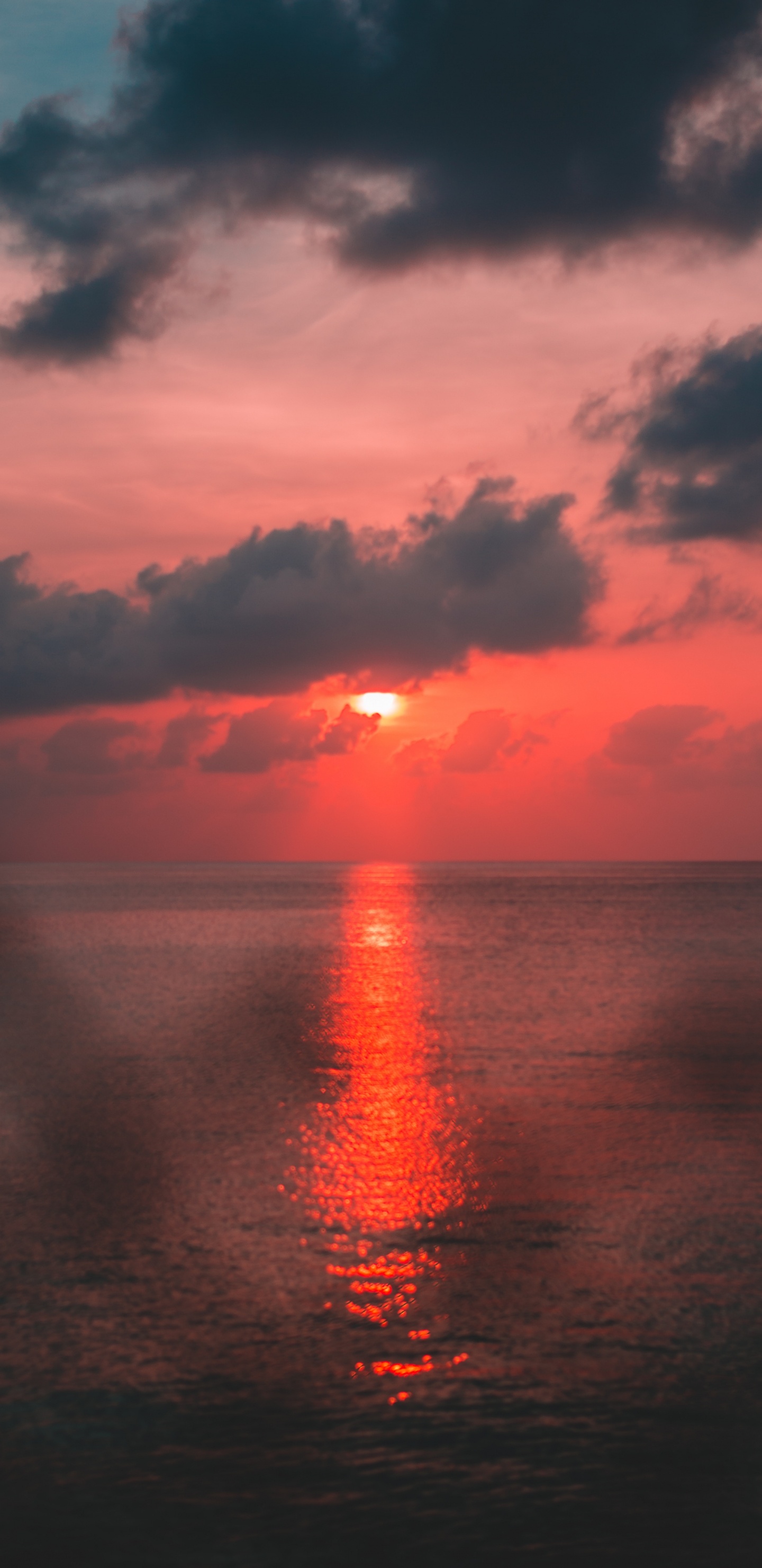 Puesta, Rojo, Agua, Afterglow, Mar. Wallpaper in 1440x2960 Resolution