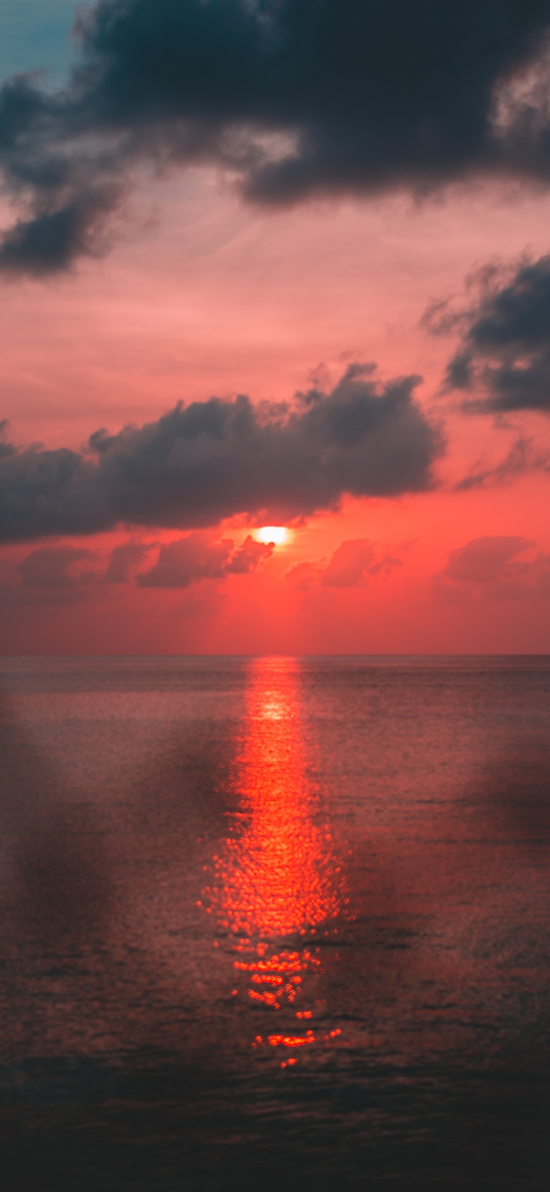 Sonnenuntergang, Horizont, Sonnenaufgang, Cloud, Wasser. Wallpaper in 1125x2436 Resolution