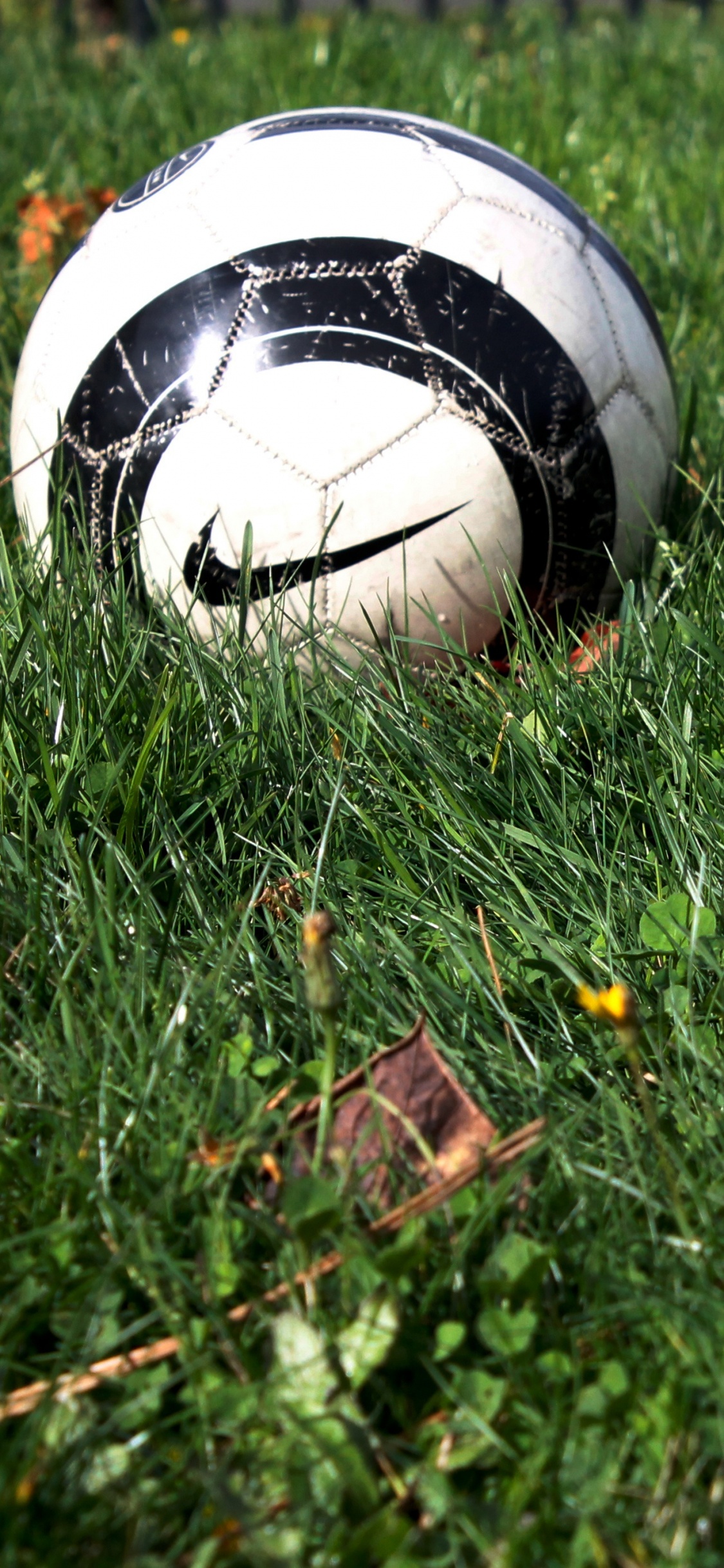 White and Black Soccer Ball on Green Grass Field. Wallpaper in 1125x2436 Resolution