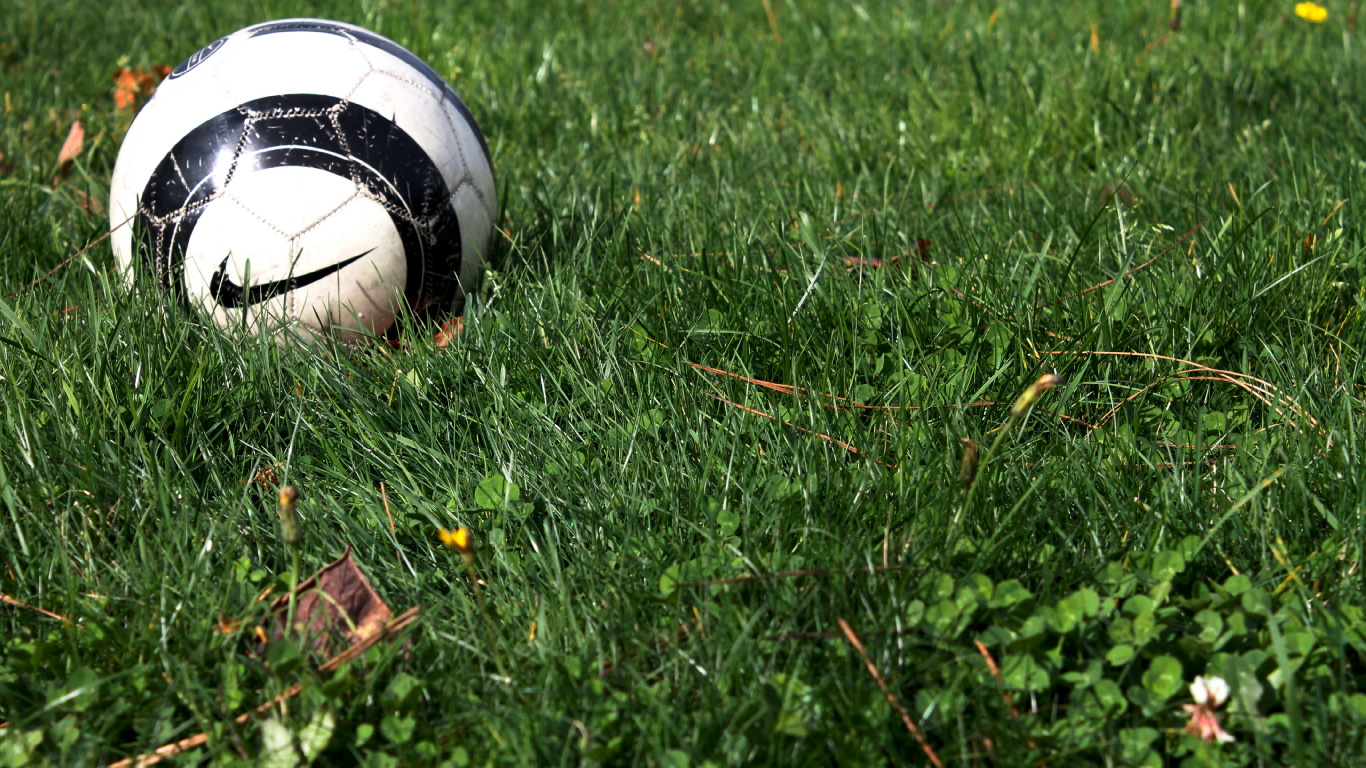 White and Black Soccer Ball on Green Grass Field. Wallpaper in 1366x768 Resolution