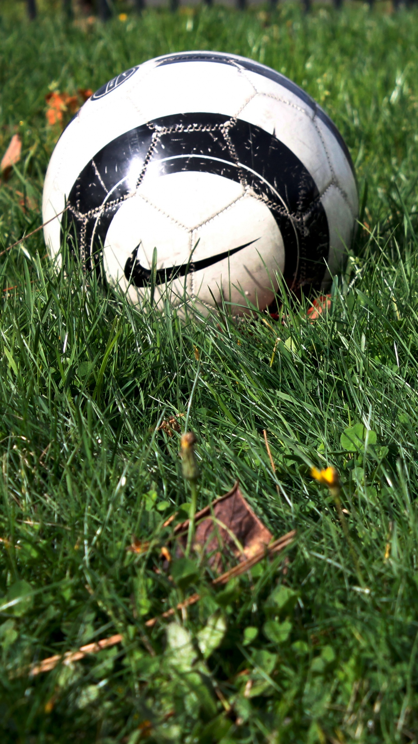 White and Black Soccer Ball on Green Grass Field. Wallpaper in 1440x2560 Resolution