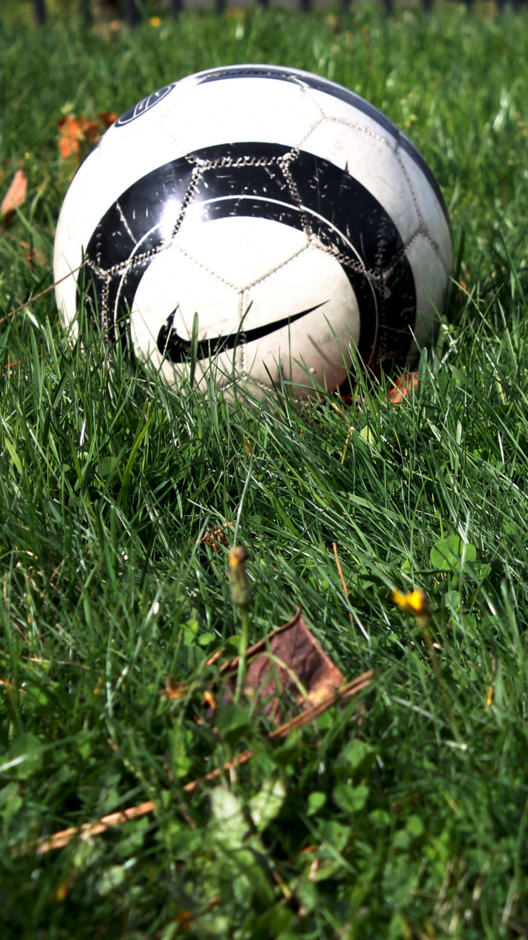 White and Black Soccer Ball on Green Grass Field. Wallpaper in 750x1334 Resolution