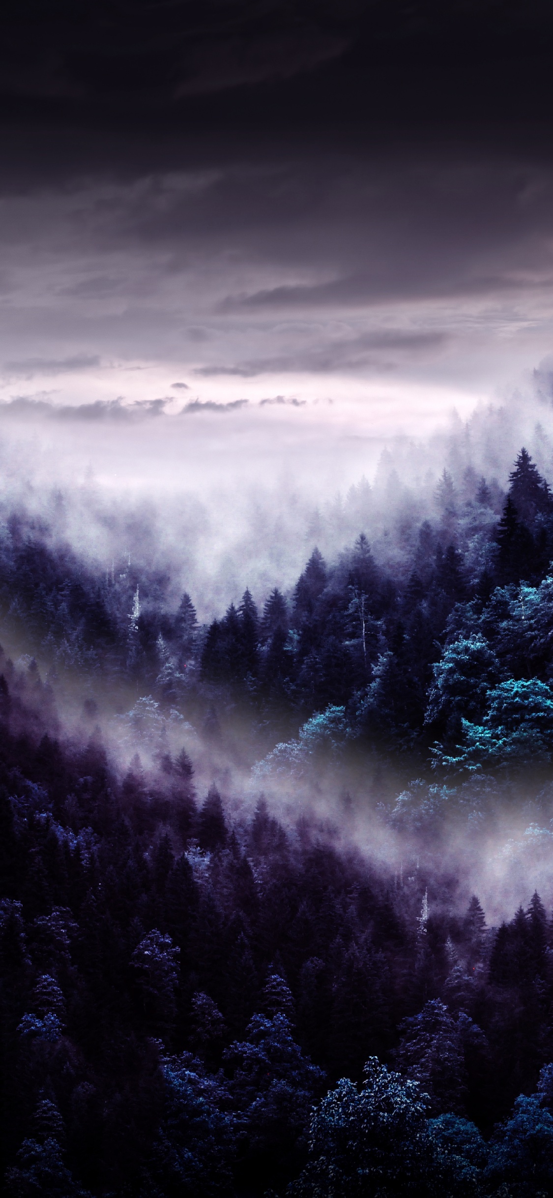 Atmosphäre, Cloud, Naturlandschaft, Baum, Nebel. Wallpaper in 1125x2436 Resolution