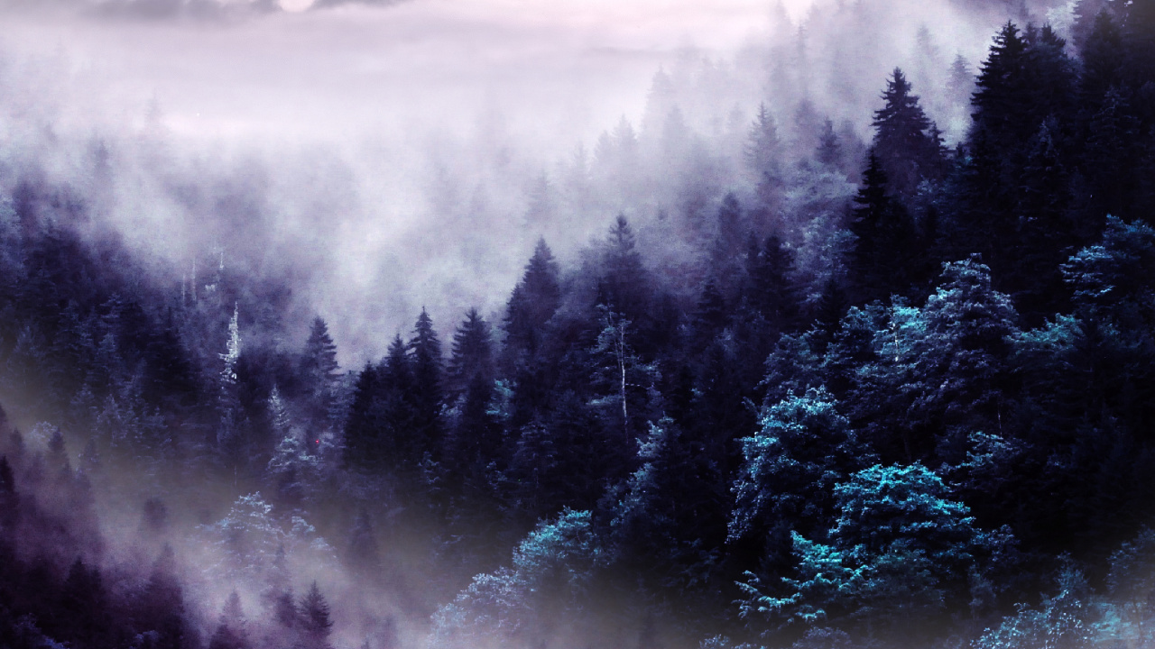 Atmosphäre, Cloud, Naturlandschaft, Baum, Nebel. Wallpaper in 1280x720 Resolution