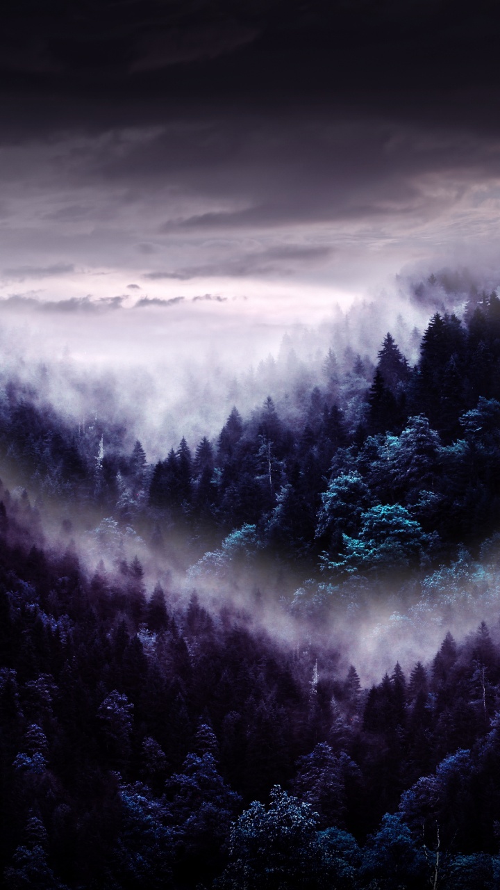 Atmosphäre, Cloud, Naturlandschaft, Baum, Nebel. Wallpaper in 720x1280 Resolution