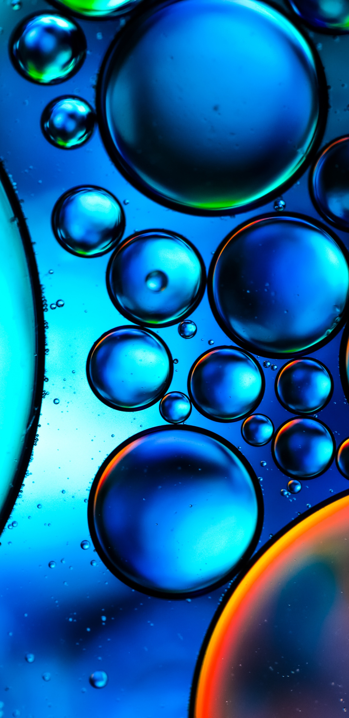 Tropfen, Wasser, Farbigkeit, Blau, Licht. Wallpaper in 1440x2960 Resolution