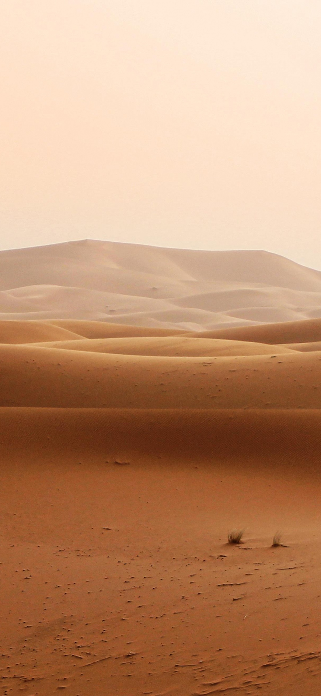 Desserts, Dune, Gobi Desert, Brown, Natural Landscape. Wallpaper in 1125x2436 Resolution