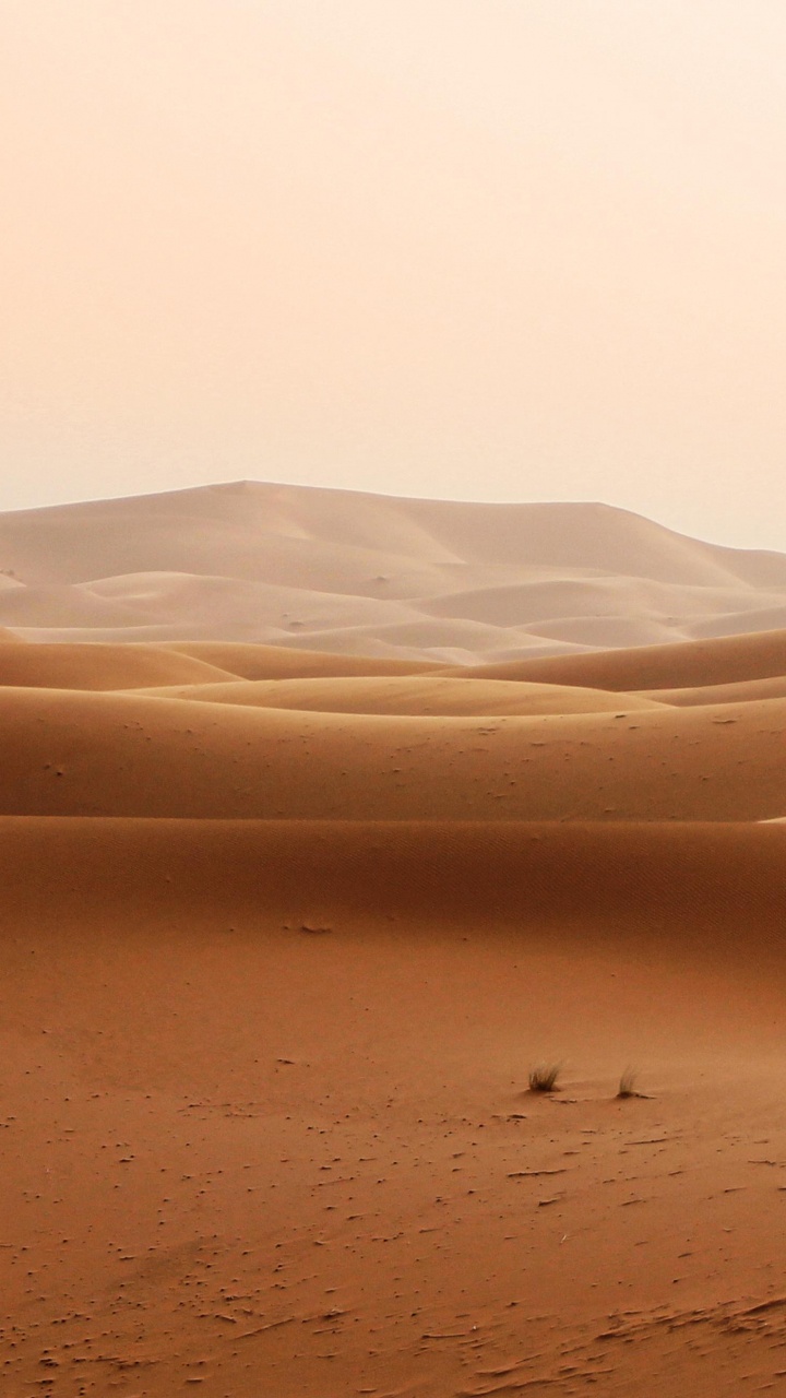 Desserts, Dune, Gobi Desert, Brown, Natural Landscape. Wallpaper in 720x1280 Resolution