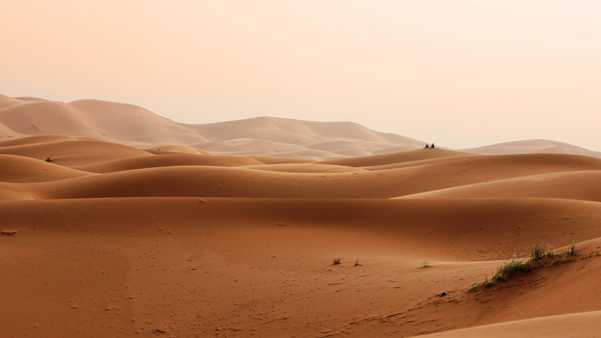 Les Desserts, Dune, Gobi, Brown, Paysage Naturel. Wallpaper in 2560x1440 Resolution