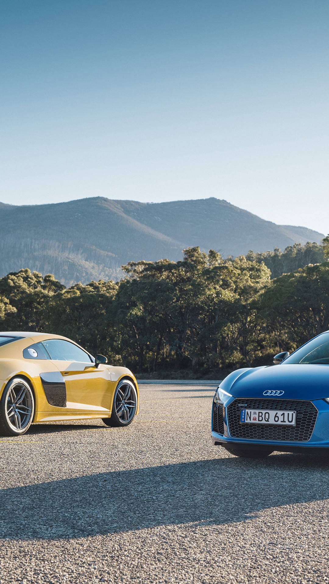 奥迪r8, 奥迪, 奥迪运动GmbH, V10引擎, 超级跑车 壁纸 1080x1920 允许