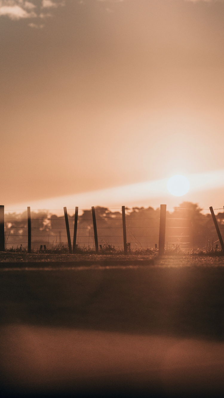 地平线, 日落, 气氛, 晚上, 灰度 壁纸 750x1334 允许