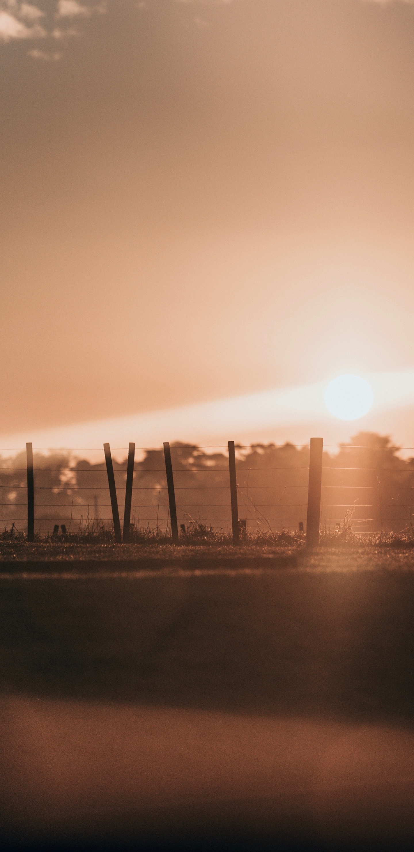 Edificio, Puesta, Ambiente, Noche, Escala de Grises. Wallpaper in 1440x2960 Resolution