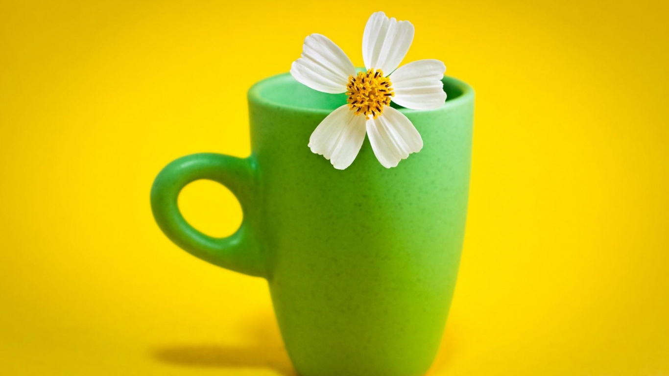 White Flower on Green Ceramic Mug. Wallpaper in 1366x768 Resolution