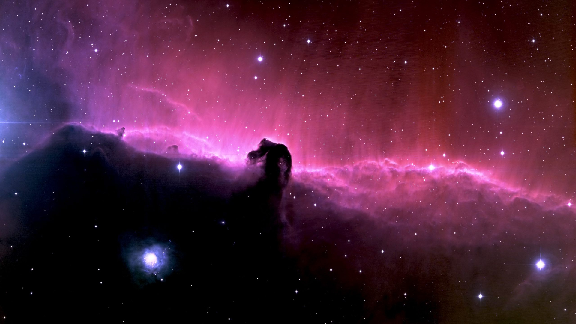 Silhouette de Chien Sous la Nuit Étoilée. Wallpaper in 1920x1080 Resolution