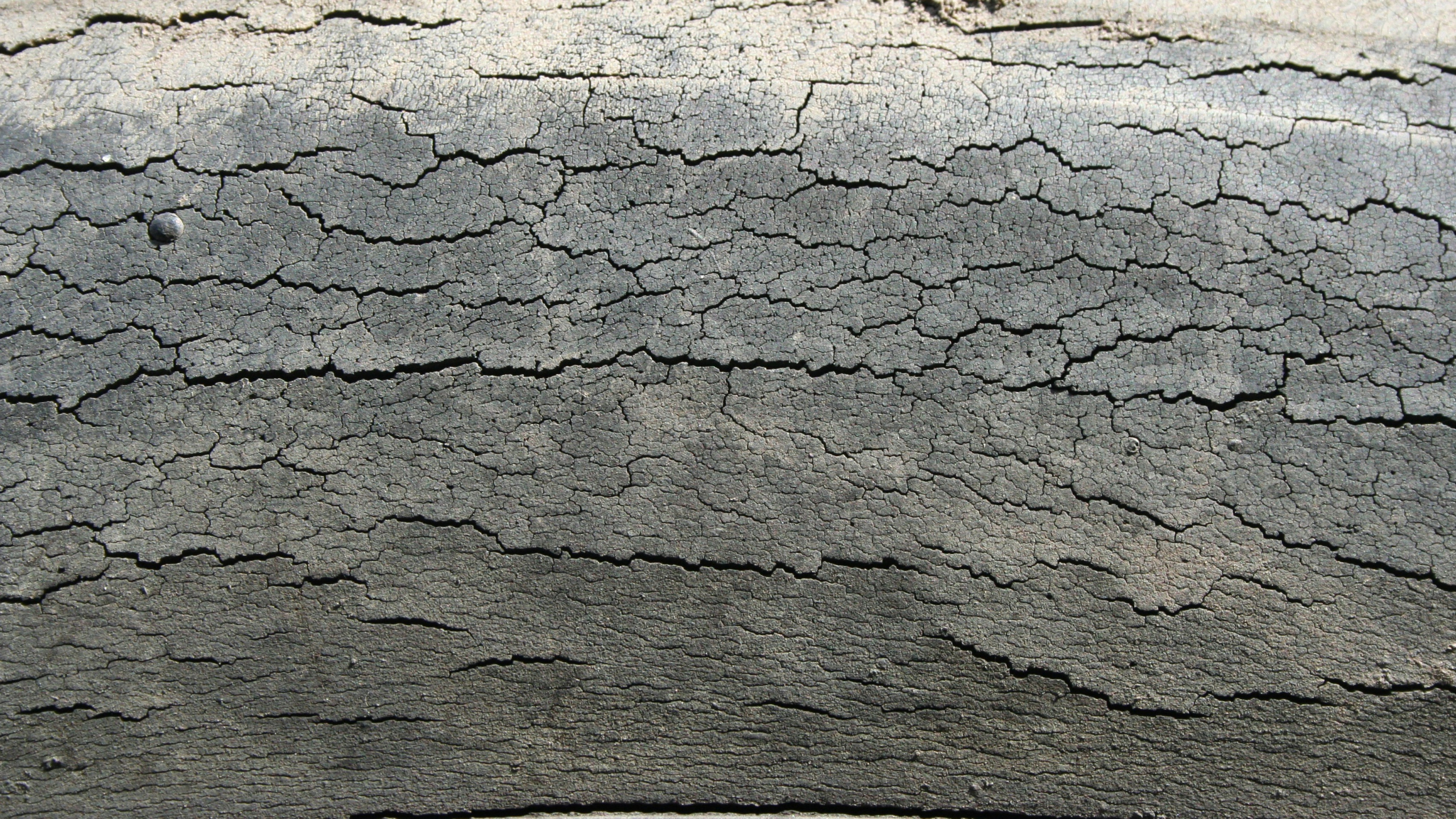 Braune Und Weiße Holzoberfläche. Wallpaper in 2560x1440 Resolution