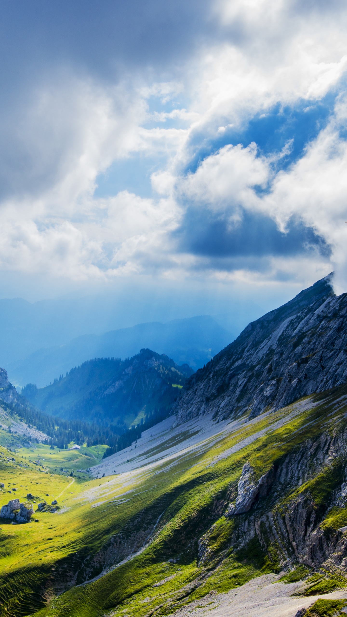 Mont Pilatus, Paysage Naturel, Pente, Terrain, Prairie. Wallpaper in 1440x2560 Resolution