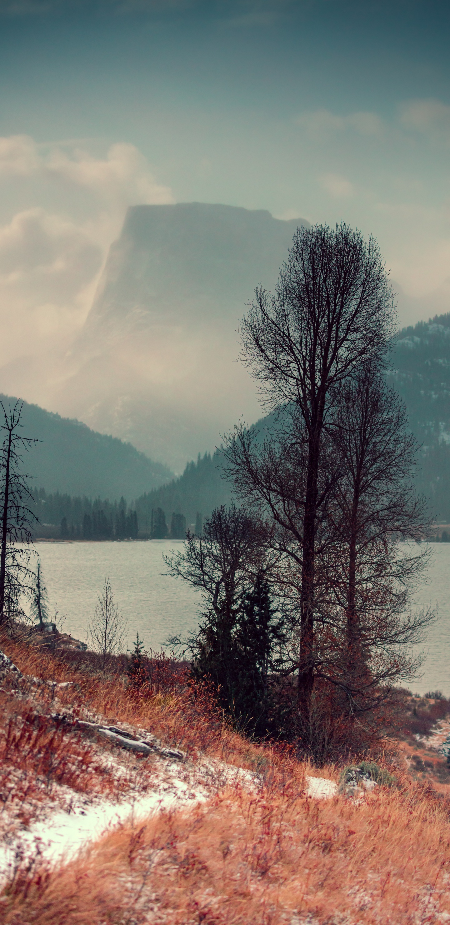 Nature, Paysage Naturel, Hiver, Eau, Atmosphère. Wallpaper in 1440x2960 Resolution