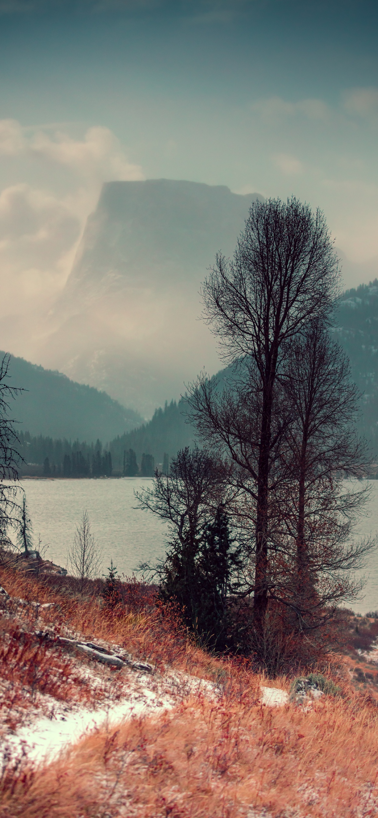 Naturaleza, Paisaje Natural, Desierto, Invierno, Agua. Wallpaper in 1242x2688 Resolution