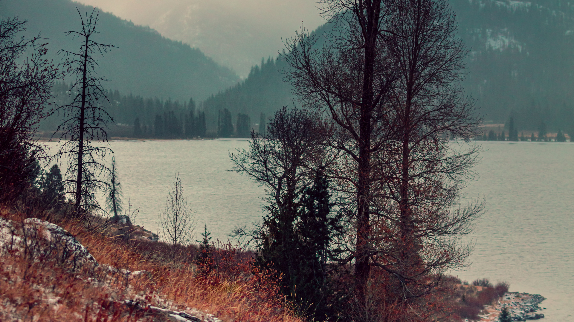 Natur, Baum, Naturlandschaft, Wildnis, Winter. Wallpaper in 1920x1080 Resolution