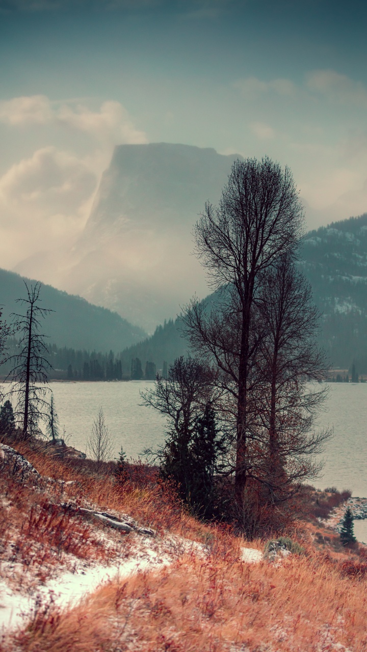 Natur, Baum, Naturlandschaft, Wildnis, Winter. Wallpaper in 720x1280 Resolution