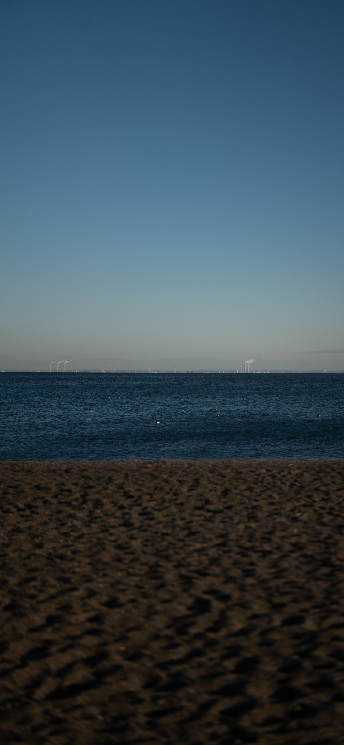 地平线, 天空, 晚上, 冷静, 海洋 壁纸 1125x2436 允许