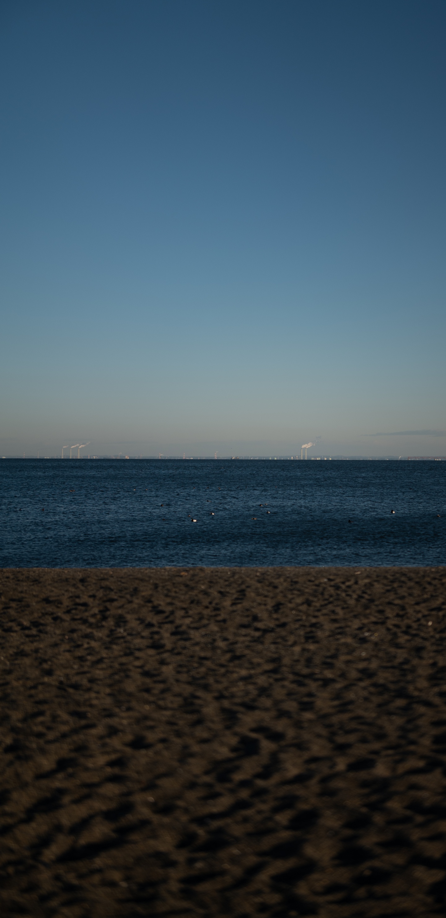 Horizon, Eau, Ciel, Plage, Soir. Wallpaper in 1440x2960 Resolution