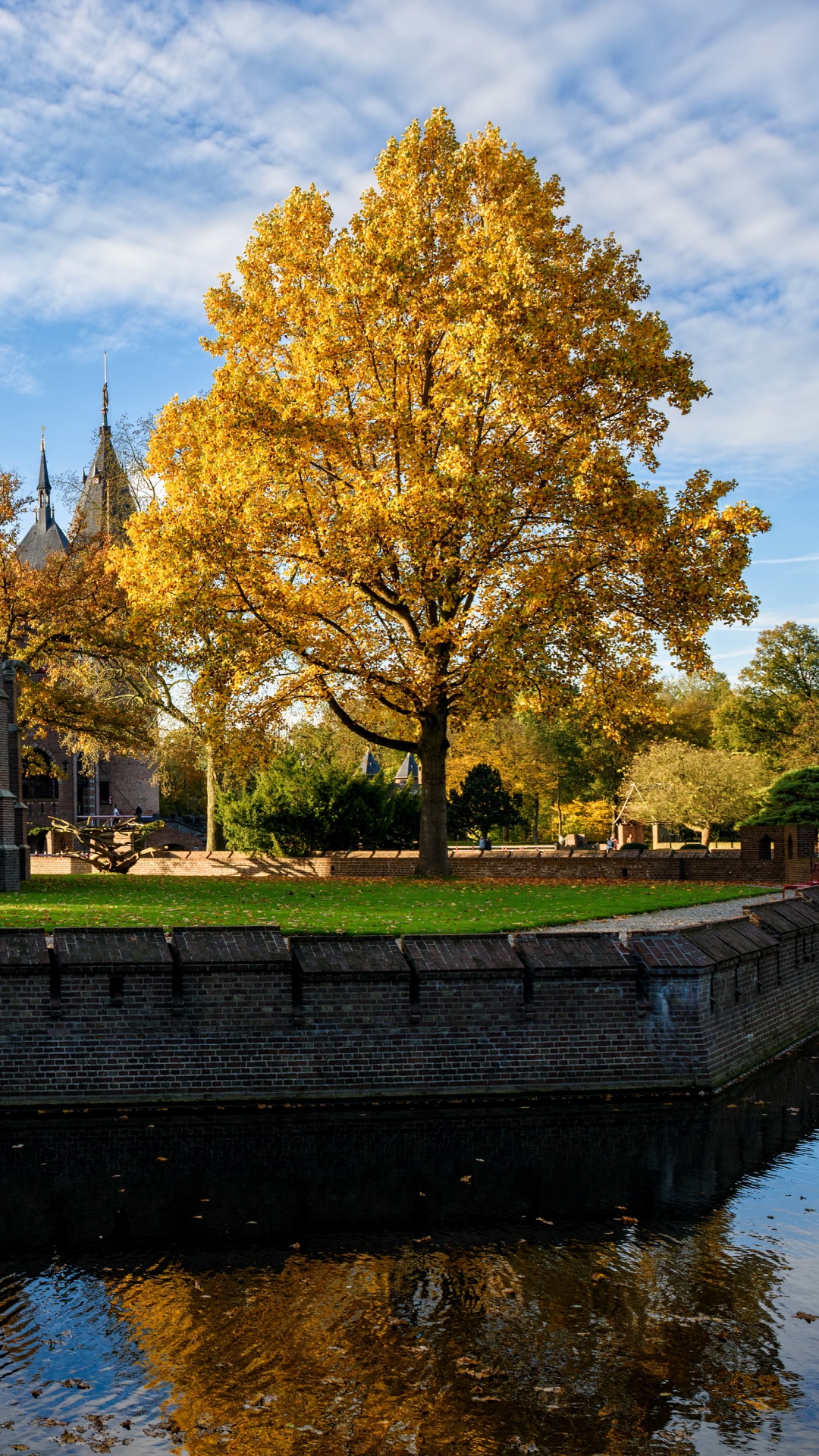 Bâtiment en Béton Marron et Gris Près D'un Plan D'eau Sous un Ciel Bleu Pendant la Journée. Wallpaper in 1080x1920 Resolution