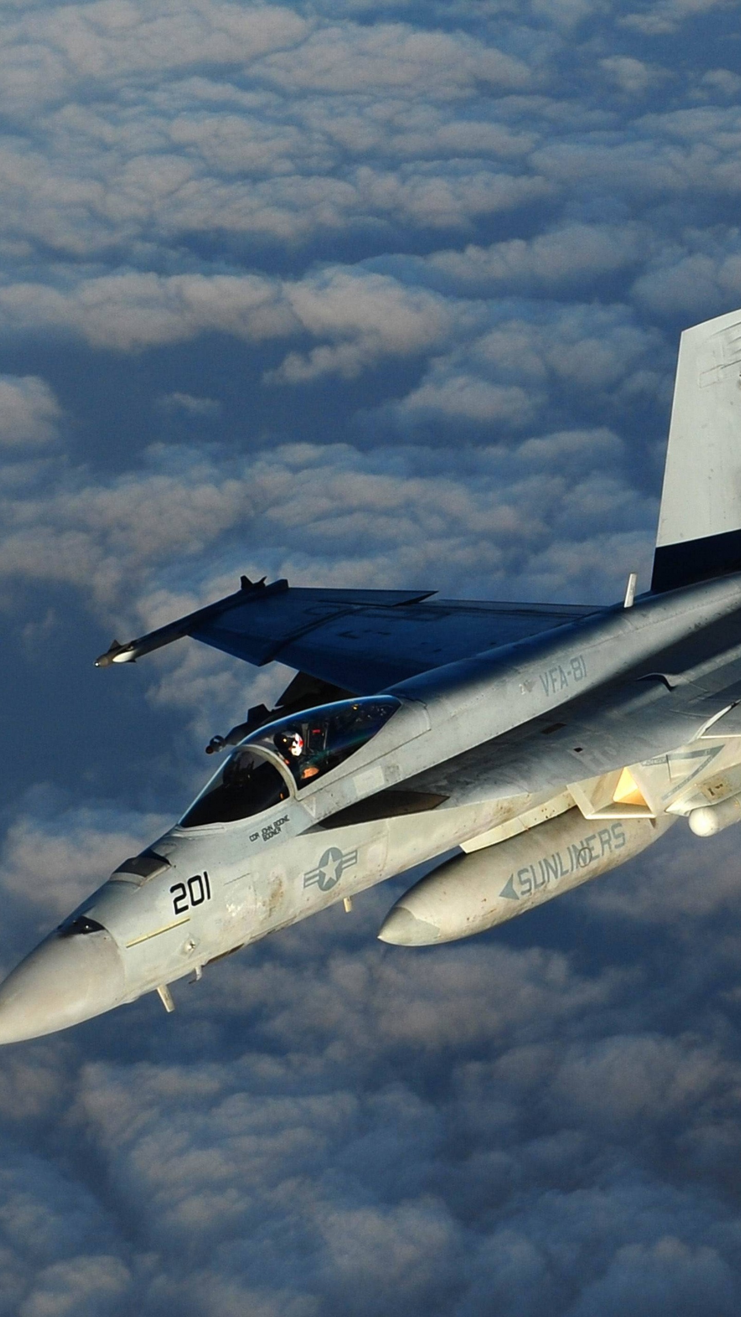 Avión a Reacción Blanco y Negro Volando Bajo Nubes Blancas Durante el Día. Wallpaper in 1440x2560 Resolution