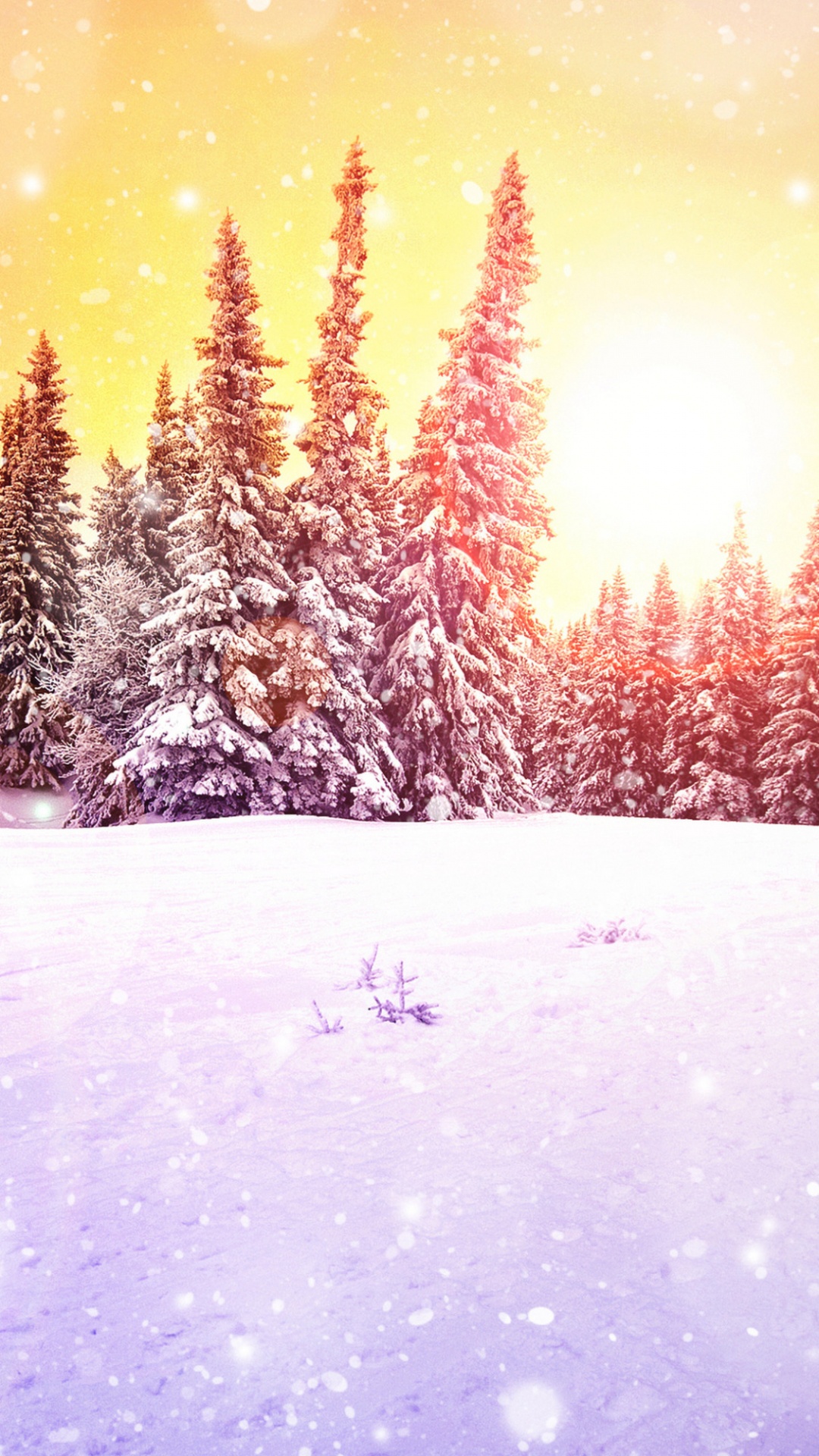 Schöne Frohe Neujahrskarten, Schnee, Naturlandschaft, Lärche, Branch. Wallpaper in 1080x1920 Resolution