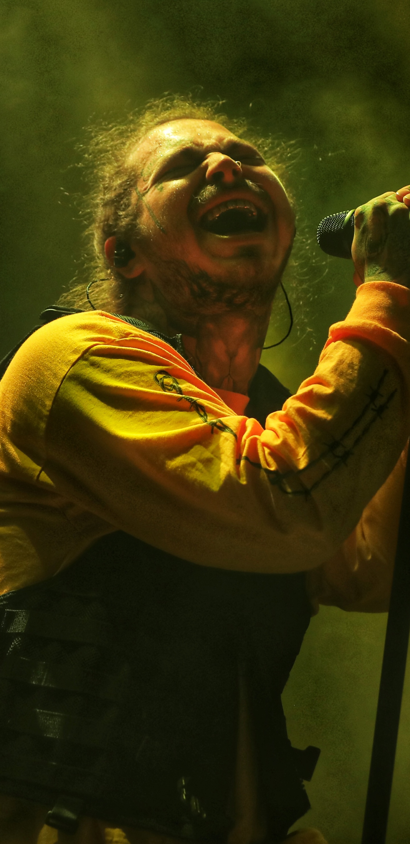 Performance, Divertissement, Green, Arts de la Scène, Jaune. Wallpaper in 1440x2960 Resolution