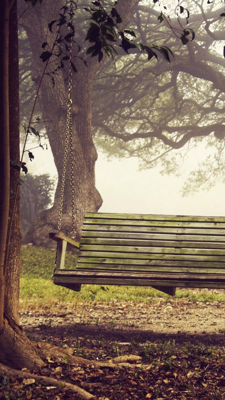 Banc en Bois Noir Sous Les Arbres à Feuilles Vertes. Wallpaper in 720x1280 Resolution