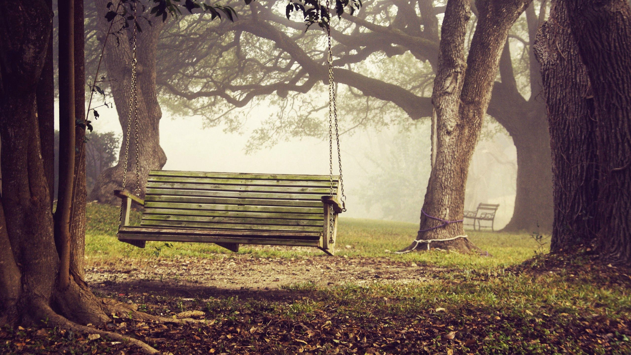Black Wooden Bench Under Green Leaf Trees. Wallpaper in 1280x720 Resolution
