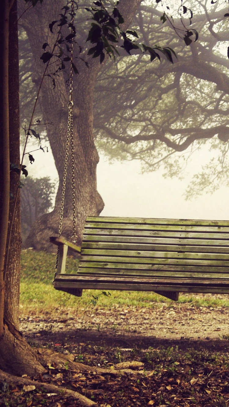 Schwarze Holzbank Unter Grünen Laubbäumen. Wallpaper in 750x1334 Resolution