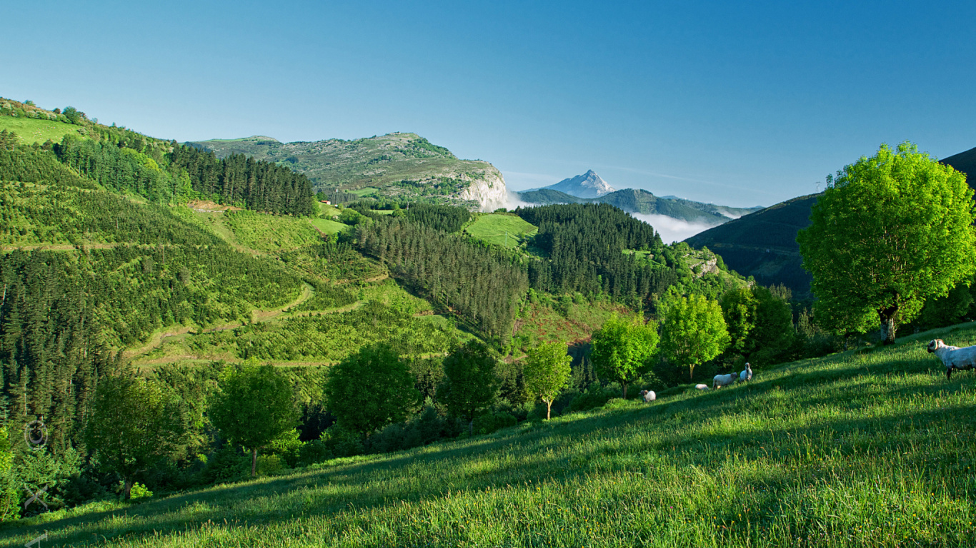 Green Grass Field Near Green Mountains Under Blue Sky During Daytime. Wallpaper in 1366x768 Resolution