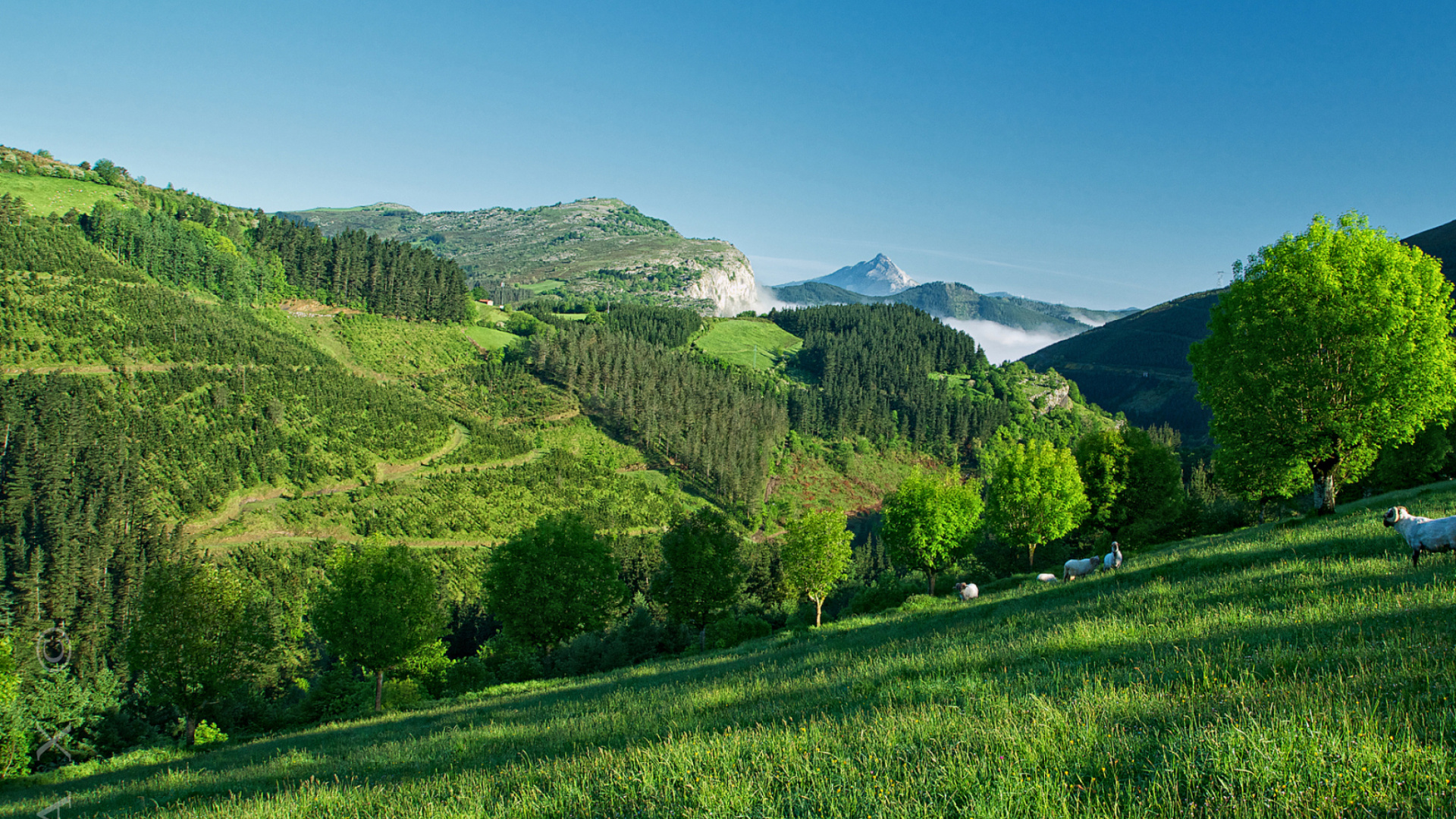 Grüne Wiese in Der Nähe Von Grünen Bergen Unter Blauem Himmel Tagsüber Sky. Wallpaper in 1920x1080 Resolution