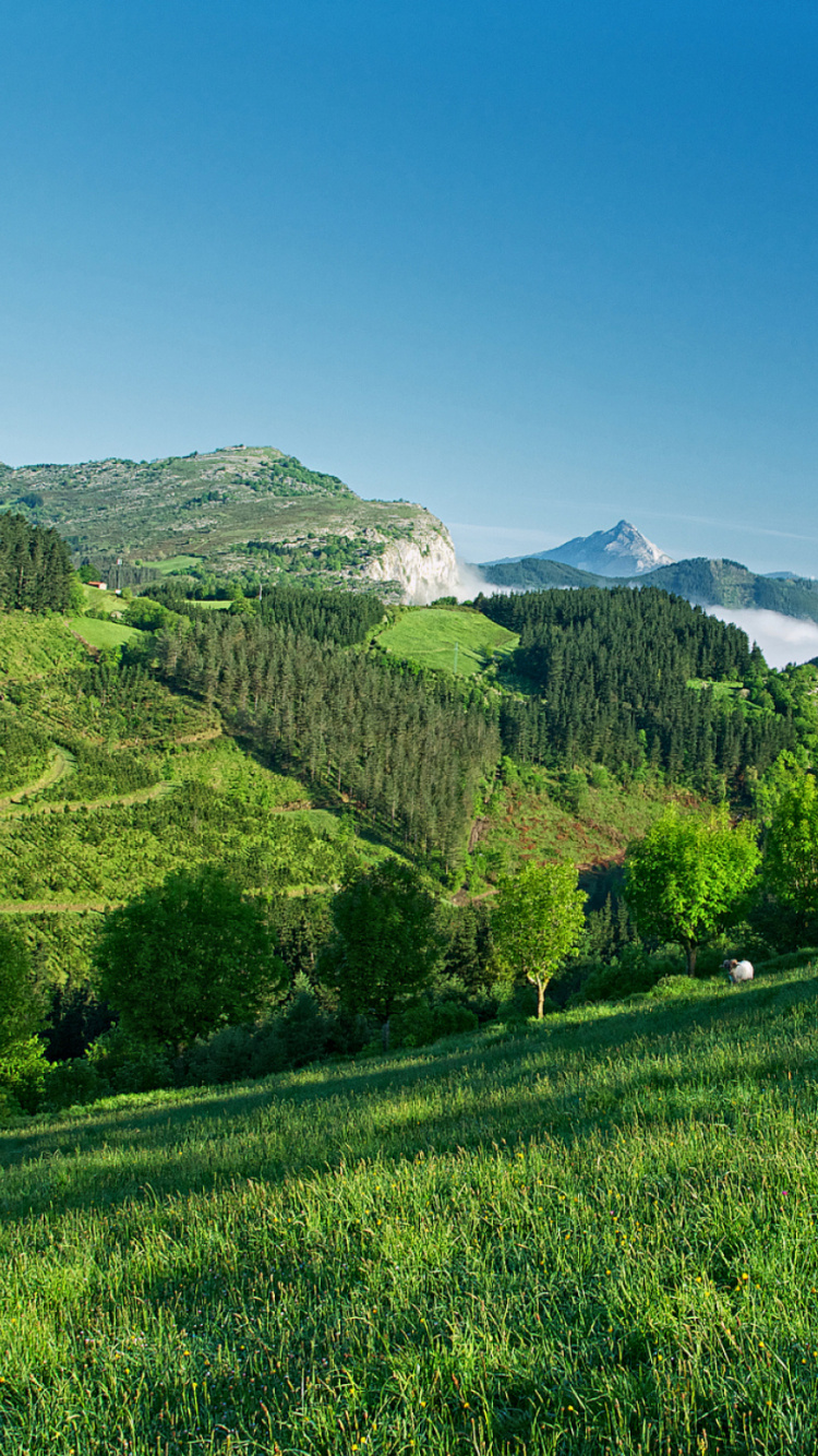 Grüne Wiese in Der Nähe Von Grünen Bergen Unter Blauem Himmel Tagsüber Sky. Wallpaper in 750x1334 Resolution