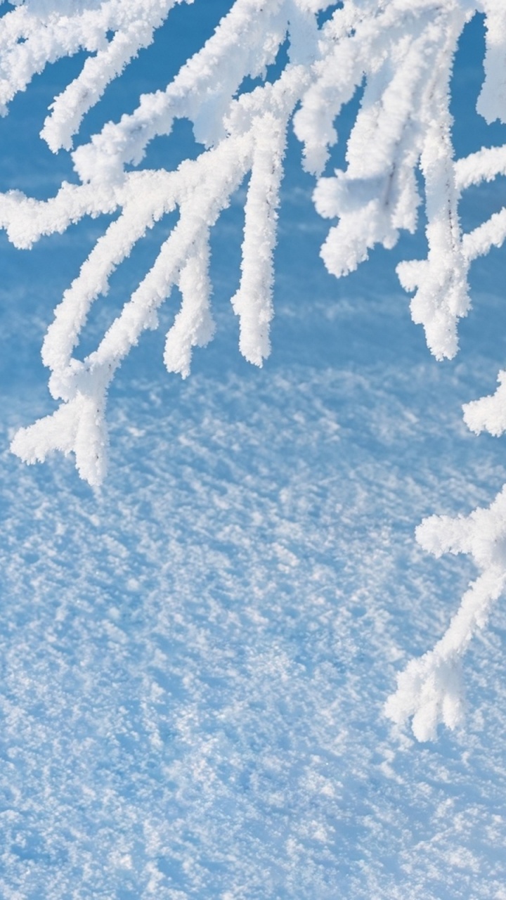冻结, 冬天, 一天, 雪人, 性质 壁纸 720x1280 允许