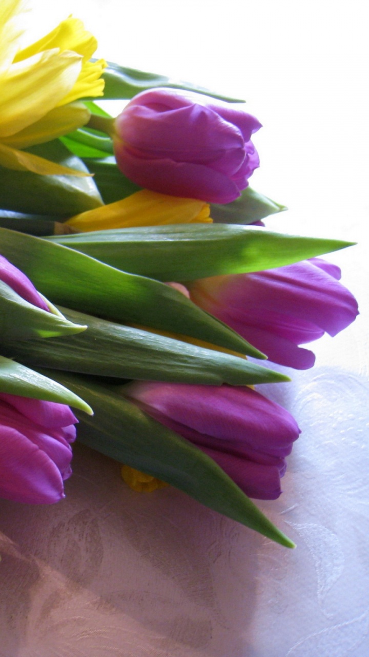 Yellow and Pink Tulips Bouquet. Wallpaper in 720x1280 Resolution