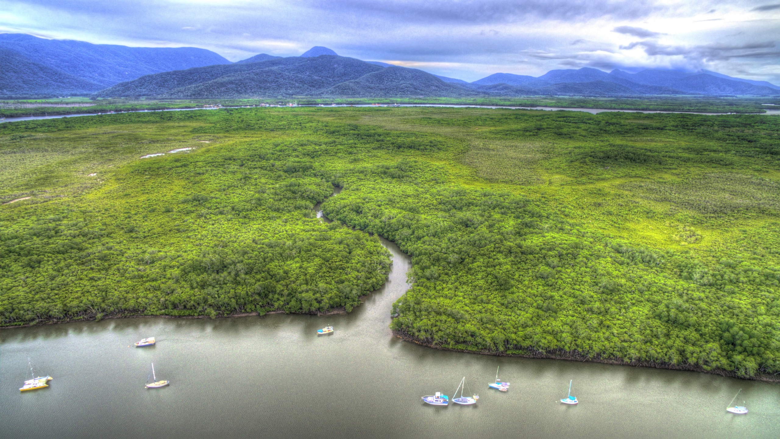 Tagsüber Grüne Wiese in Der Nähe Des Sees. Wallpaper in 2560x1440 Resolution