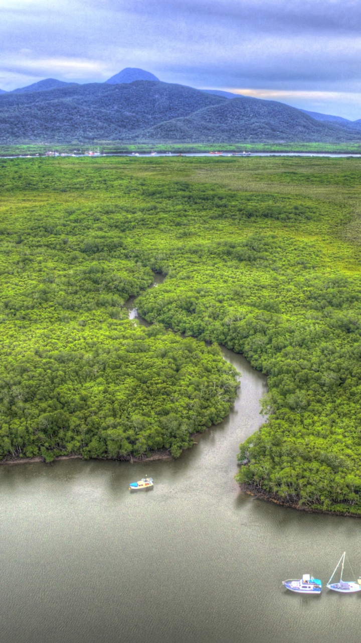 Tagsüber Grüne Wiese in Der Nähe Des Sees. Wallpaper in 720x1280 Resolution