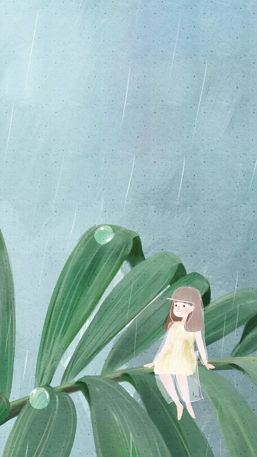 Xiaomi, Xiaomi Redmi 5, Redmi 5, Xiaomi mi 9, Blatt. Wallpaper in 1080x1920 Resolution