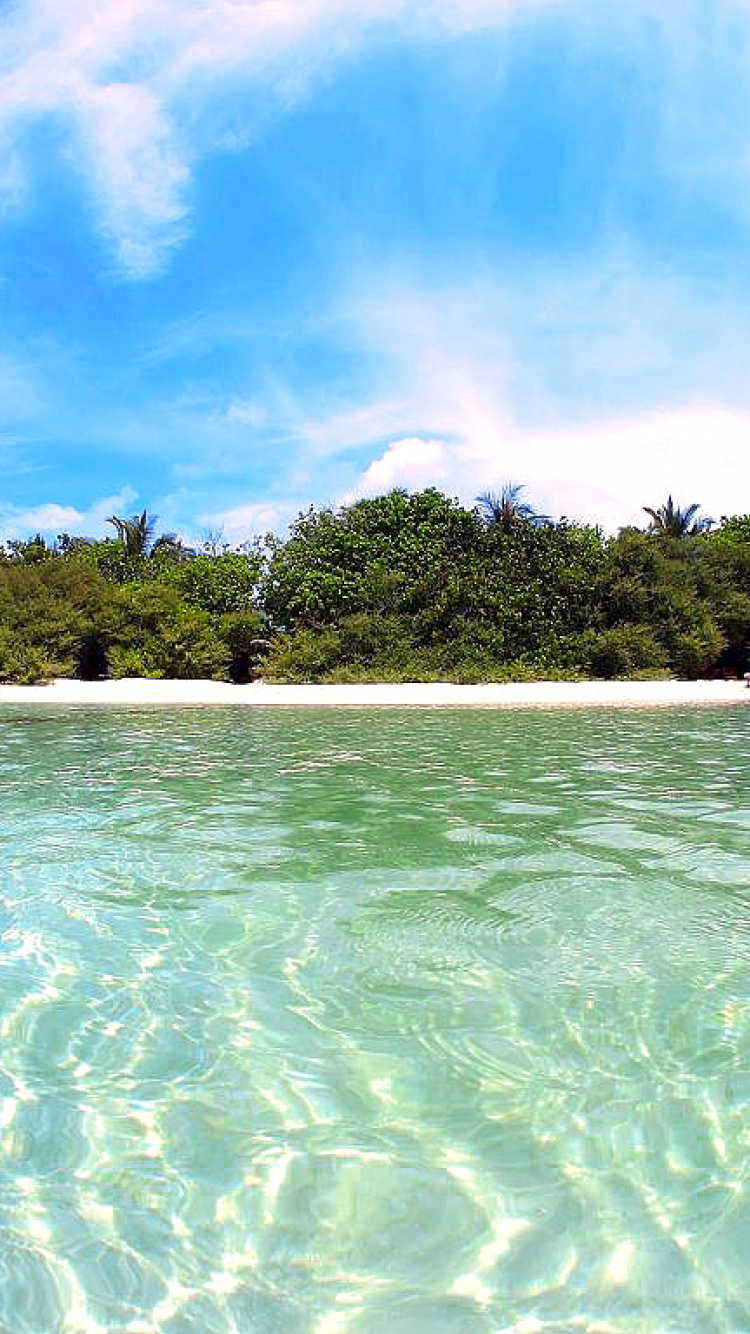 Green Trees on Island During Daytime. Wallpaper in 750x1334 Resolution