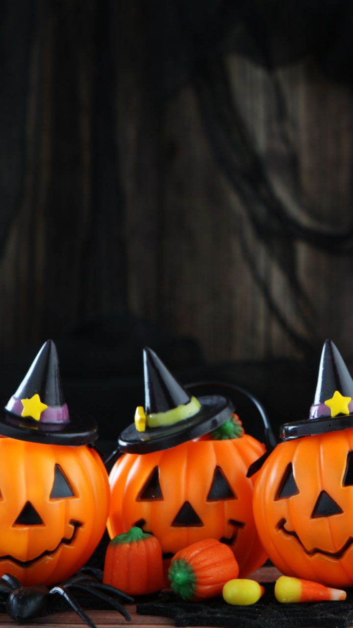 Calabaza, Winter Squash, Cucurbita, Kürbis, Kind. Wallpaper in 720x1280 Resolution