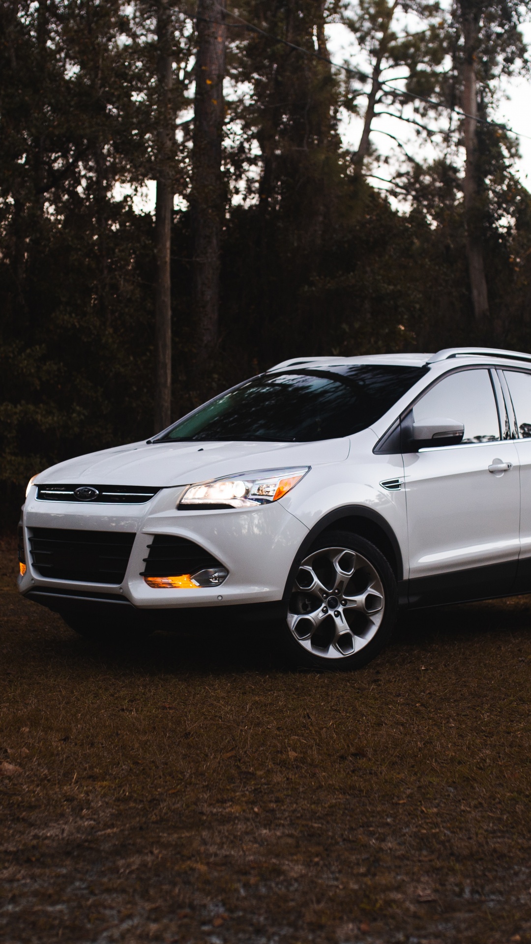BMW m 3 Blanche Garée Sur la Forêt Pendant la Journée. Wallpaper in 1080x1920 Resolution