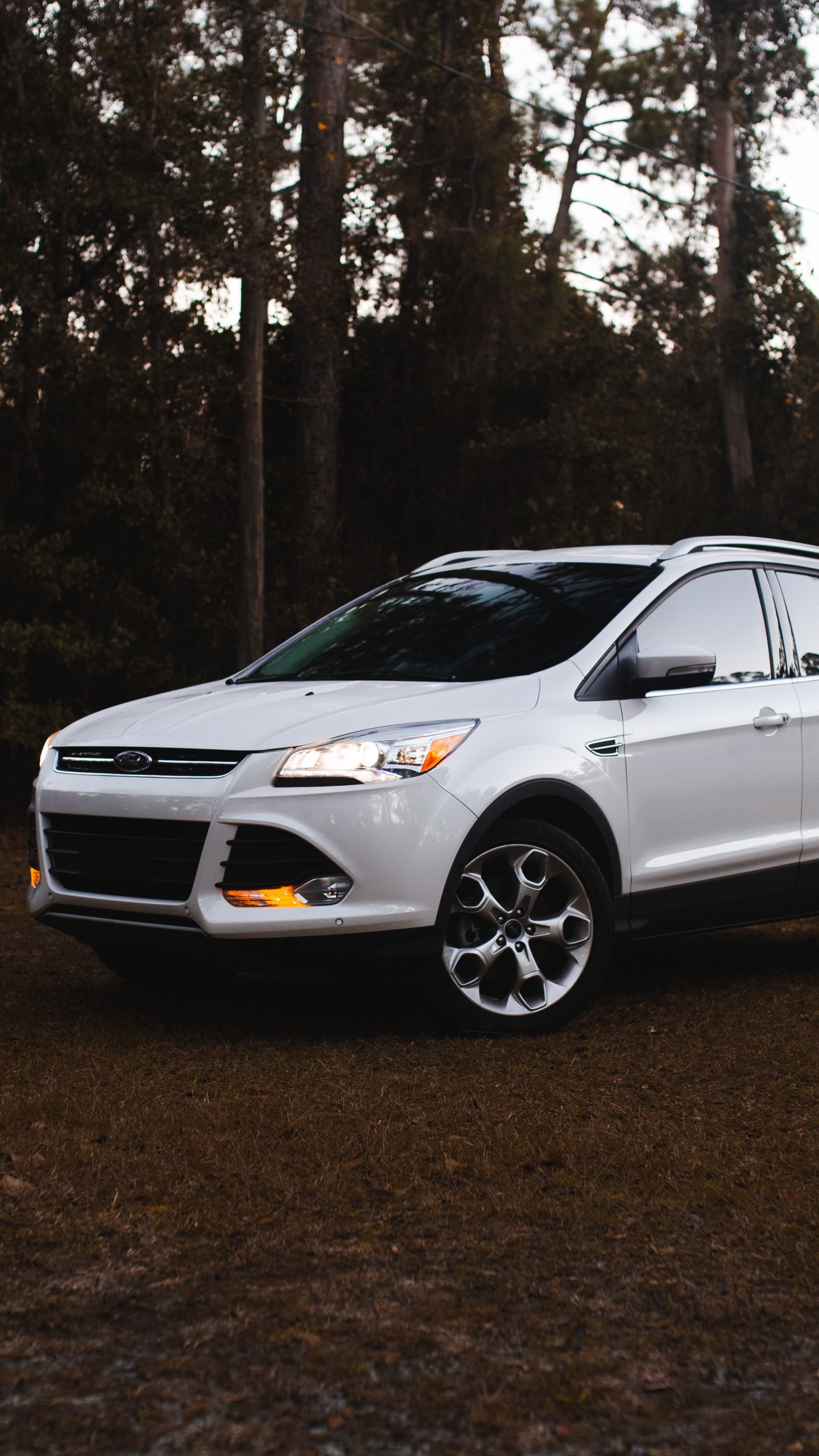 BMW m 3 Blanche Garée Sur la Forêt Pendant la Journée. Wallpaper in 1440x2560 Resolution