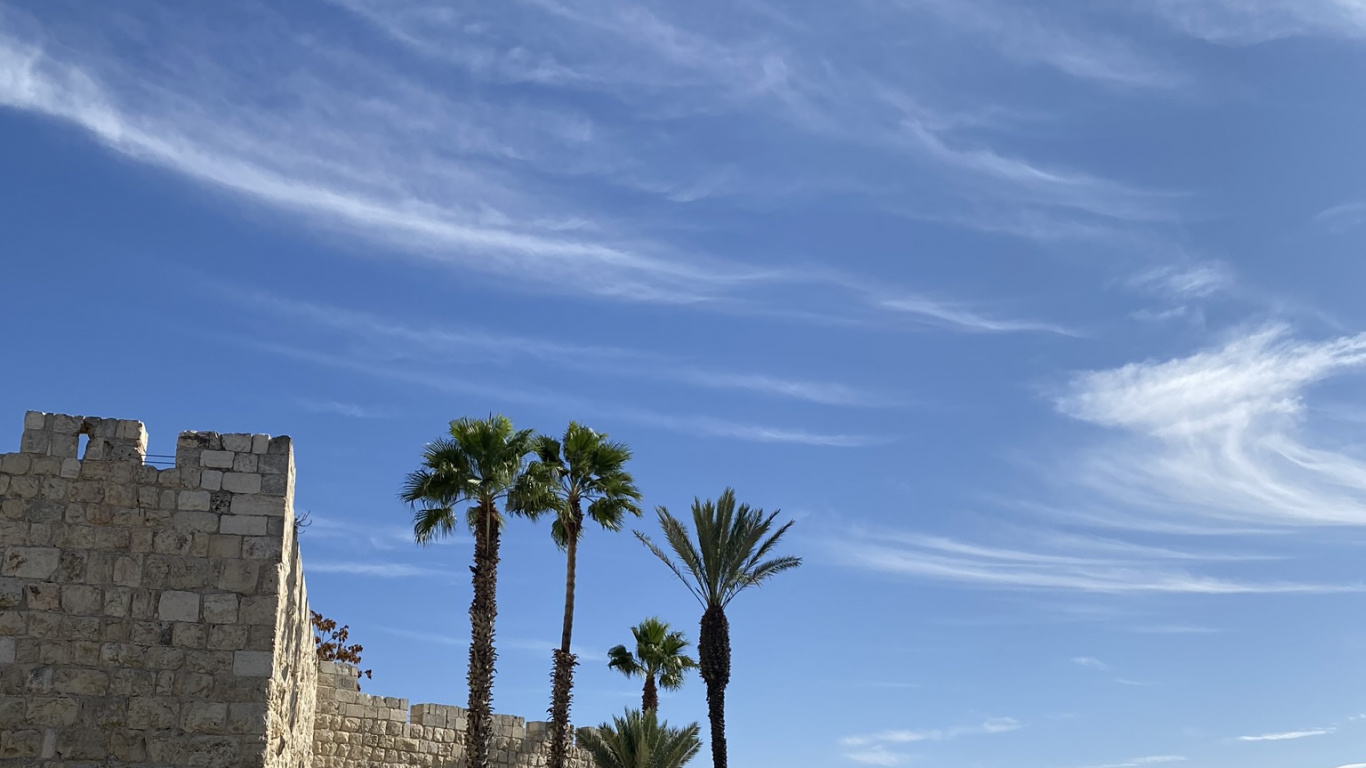 Archaeological Site, Ancient History, Palm Trees, Cloud, Grass Family. Wallpaper in 1366x768 Resolution