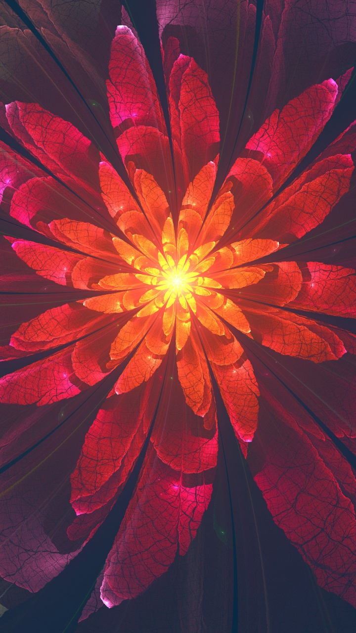 Rote Und Grüne Blume in Nahaufnahmen. Wallpaper in 720x1280 Resolution