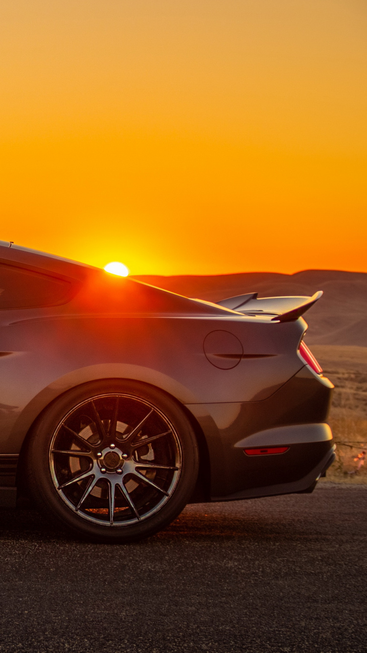 Reflection, Sports Car, Cars, Escondido Auto Super Center, Luxury Car. Wallpaper in 750x1334 Resolution