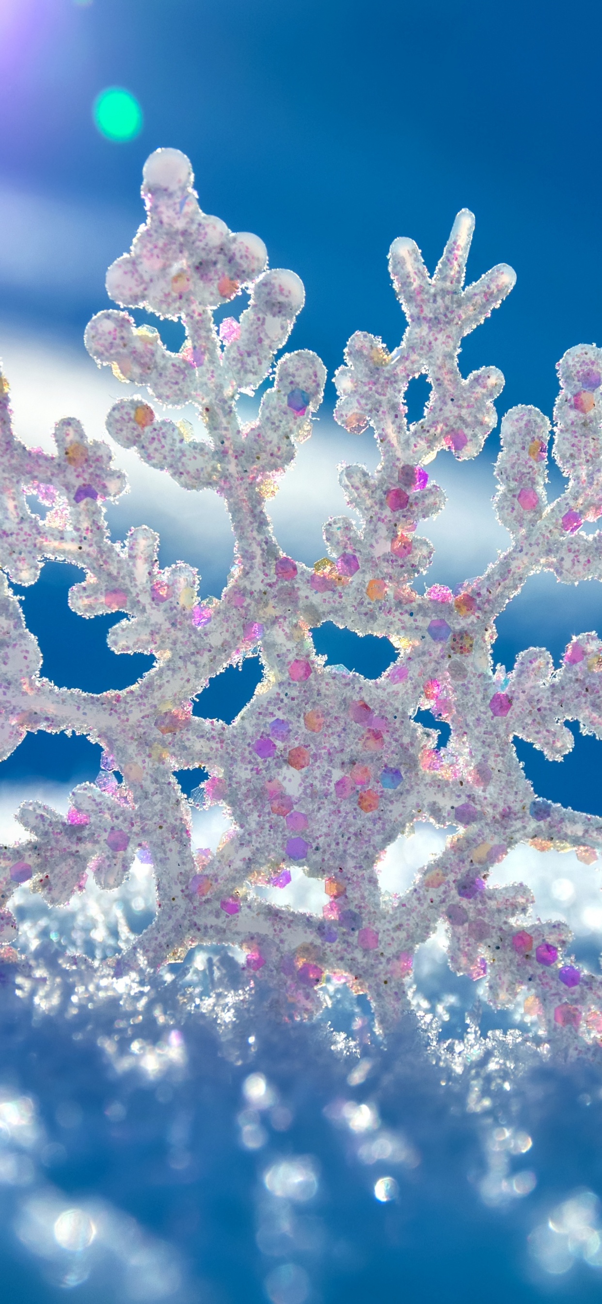 White and Pink Flower in Close up Photography. Wallpaper in 1242x2688 Resolution